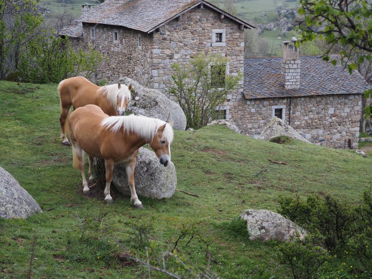 Ferme Llull * Enveitg