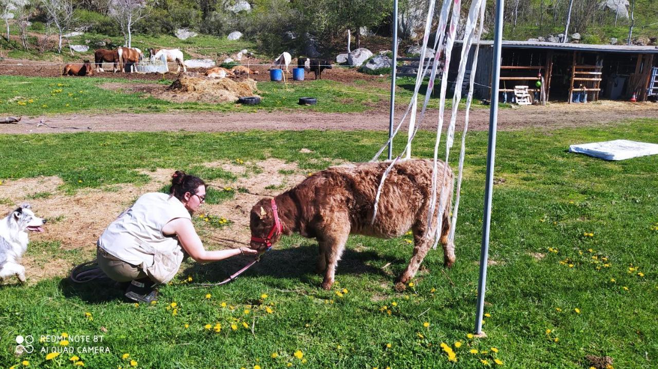 Ferme De Béna *