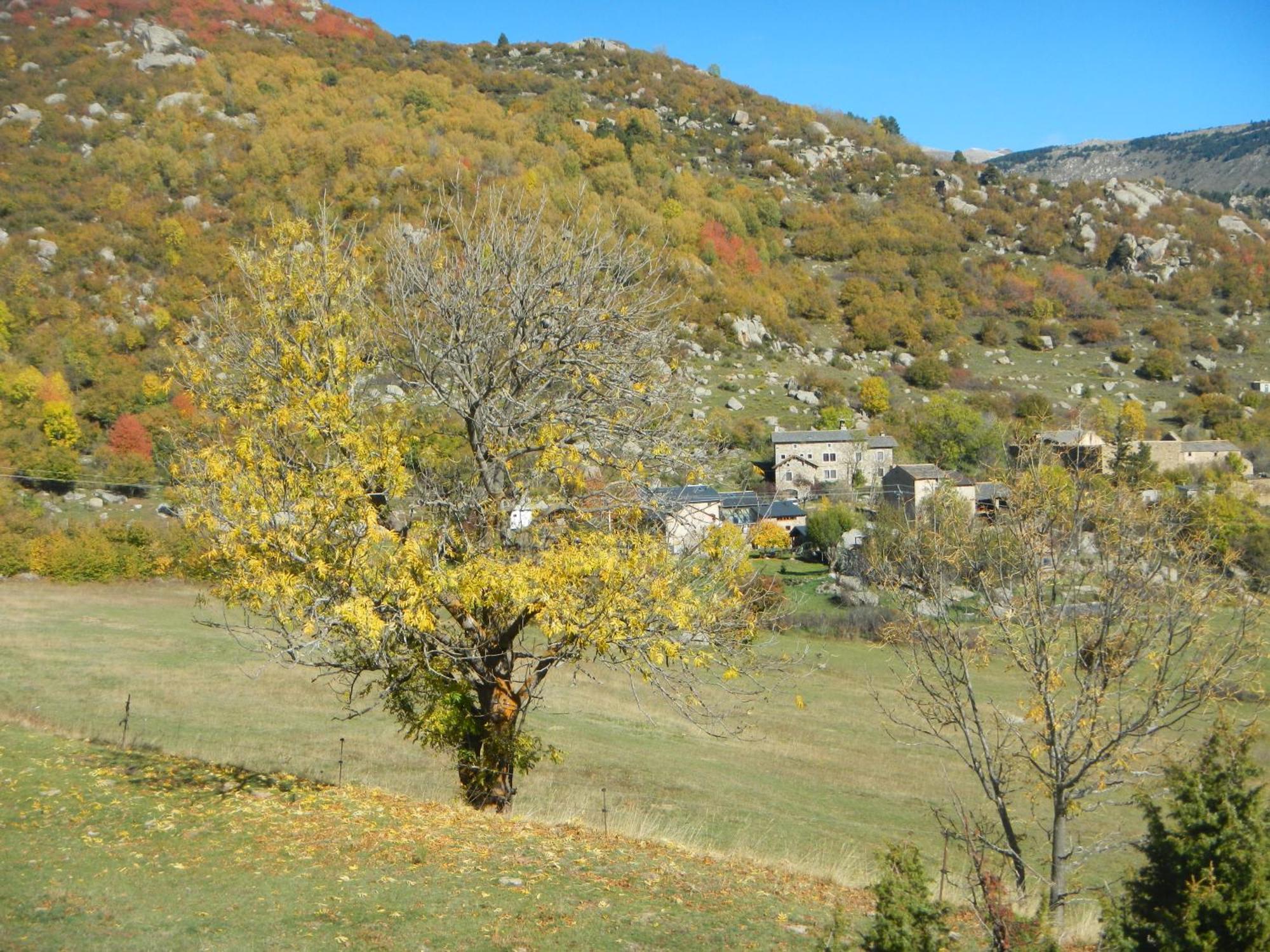 Apartment Ferme Llull Enveitg